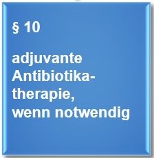 Bild_PAR_Schritt 5.2_Antibiotikatherapie