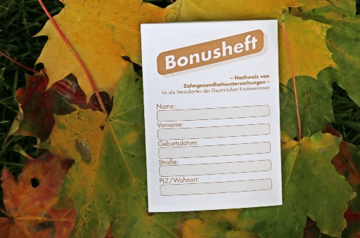 Bild Bonusheft_Herbst